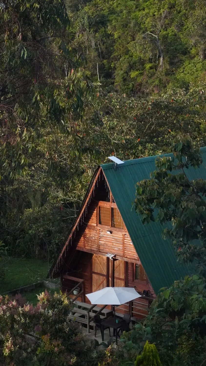 Exterior de la cabaña triangular de madera Maderalia, rodeada de bosque en Donmatías